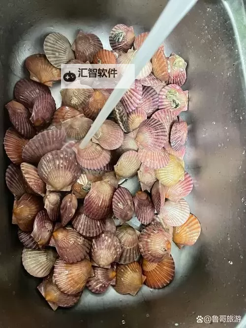 再把腿张大点就可以吃到扇贝啦：海鲜的另类享受攻略图1