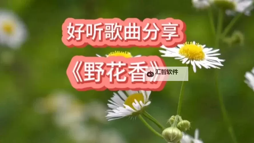 体验极致清新：野花香免费高清影院带您领略自然的纯净与宁静图1