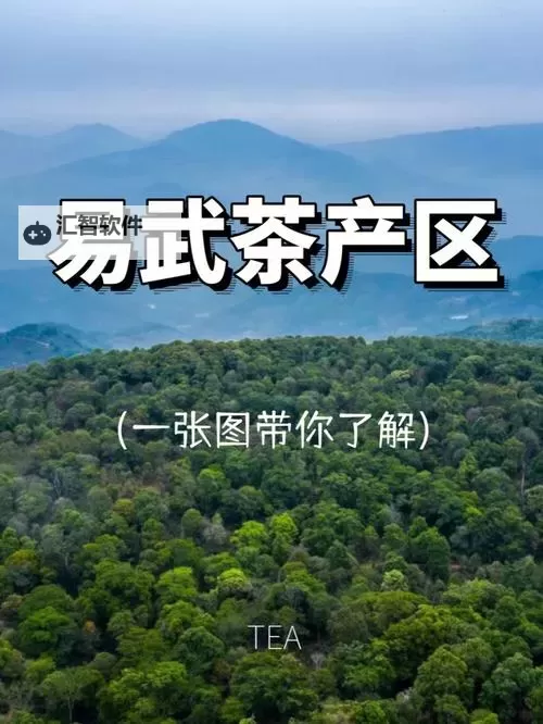 探寻心灵之源：自愈自愈第一产区的康复奇迹图1