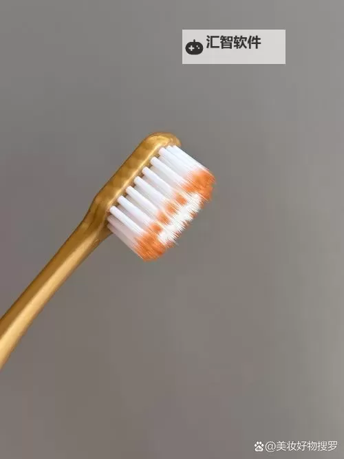 使用牙刷在尿孔来回刷:注意卫生与健康安全图1