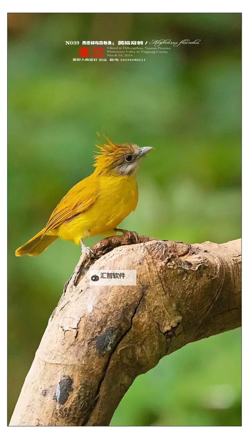 全民打BOSS电脑版下载 电脑玩全民打BOSS模拟器哪个好？图1