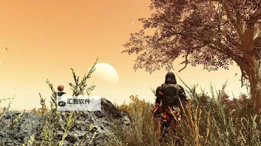 《星空》改变视野MOD分享图1