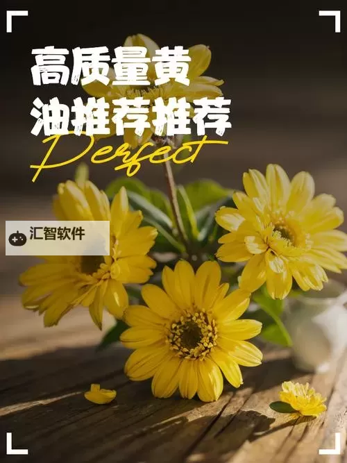 手机免费黄游推荐：探索优质经典游戏精选攻略图1