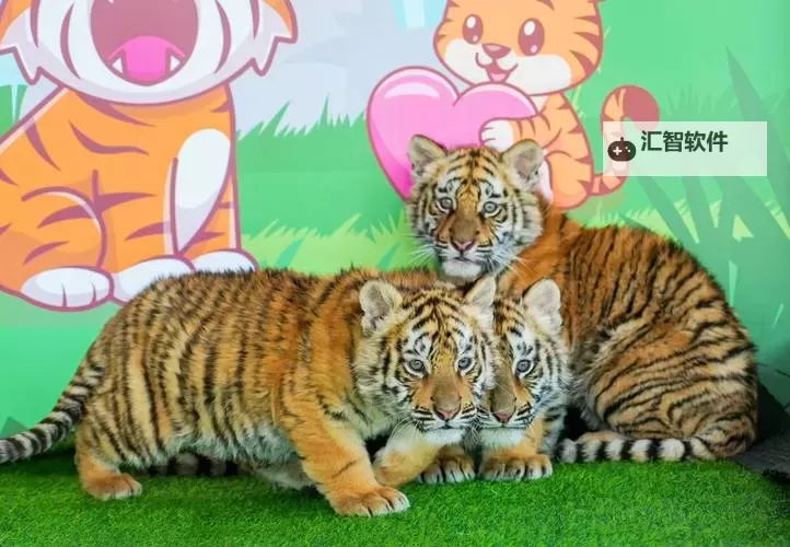 征服美艳市长宁雪：从挑战巩固到心动的都市奇遇图1