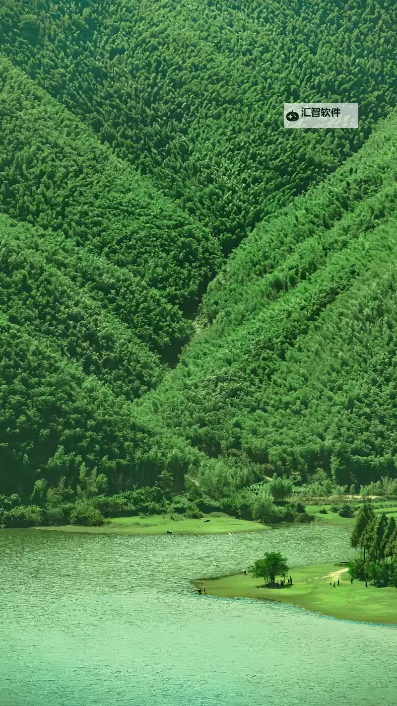 租客H1VL1:最新租房动态与实用指南图1