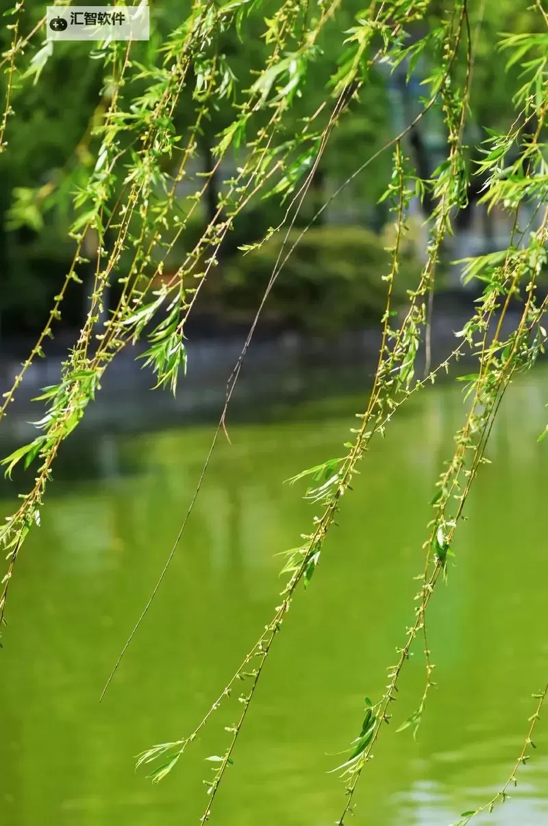 租客H1VL1:最新租房动态与实用指南图2