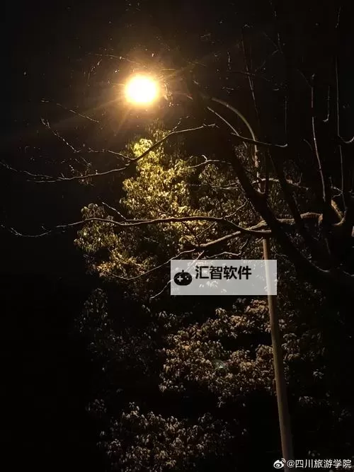最好的夜晚：那些难忘的星光时光图1