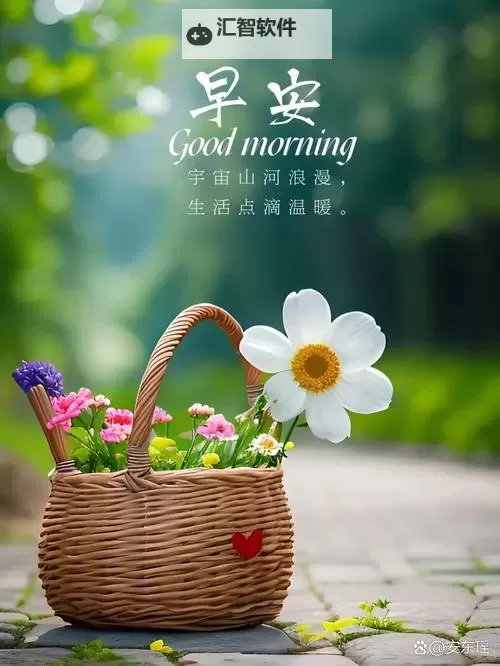 生活日日新：开启每一天的崭新篇章图1