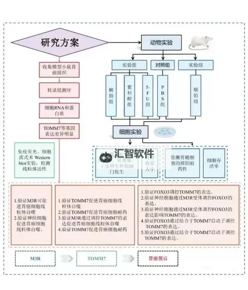《先驱者》科技术士辅助流玩法思路图1