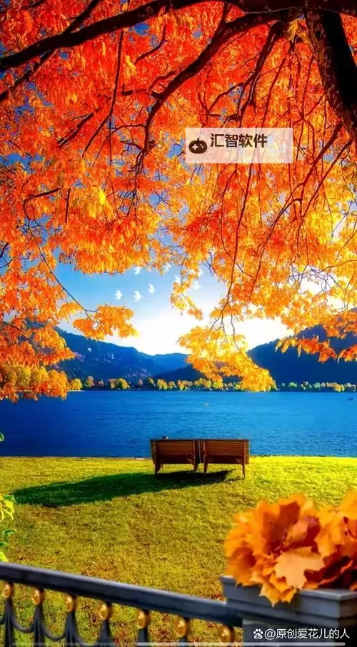 探索最新曰本一区二区乱码视频：精彩内容一网打尽图1