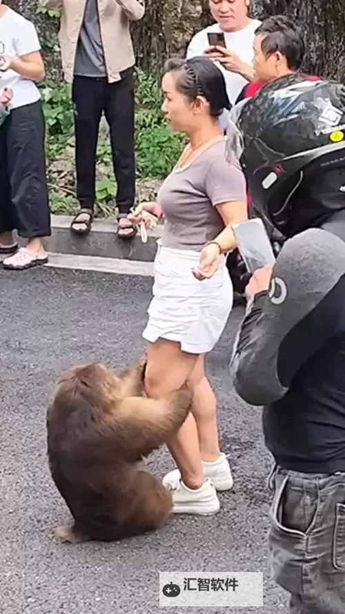 美女和男生一起努力生产猴子：携手共创动物繁育新奇迹图1