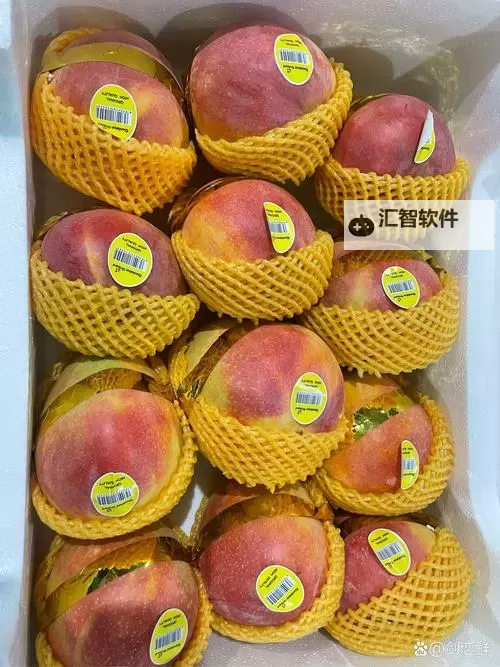 探索1区1区3区4区产品乱码芒果图片全景展示与品质解析图1