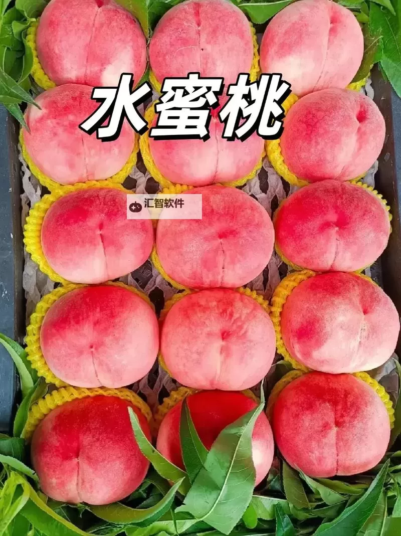 345影视水蜜桃：探索最新热播剧情与精彩片段图1