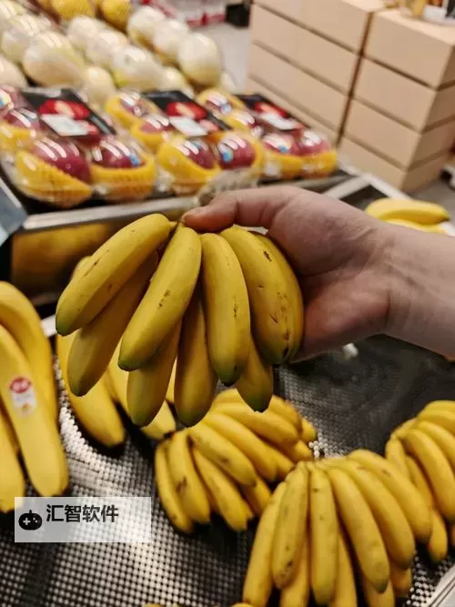 免费在线观看高清香蕉视频尽在www..com香蕉视频平台图1