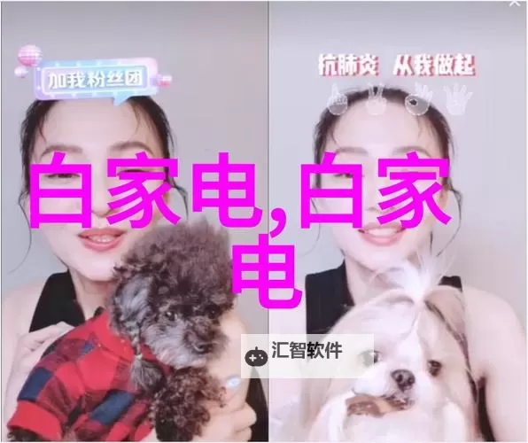 中文幕无线码一二三四区：全面解析四区无线码布局与应用图2