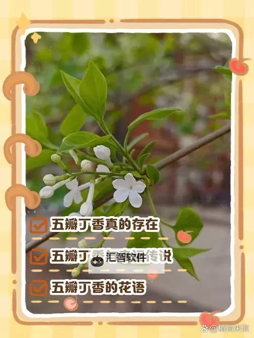 《五情丁香先锋视：探索心灵的色彩与未来之境》图1