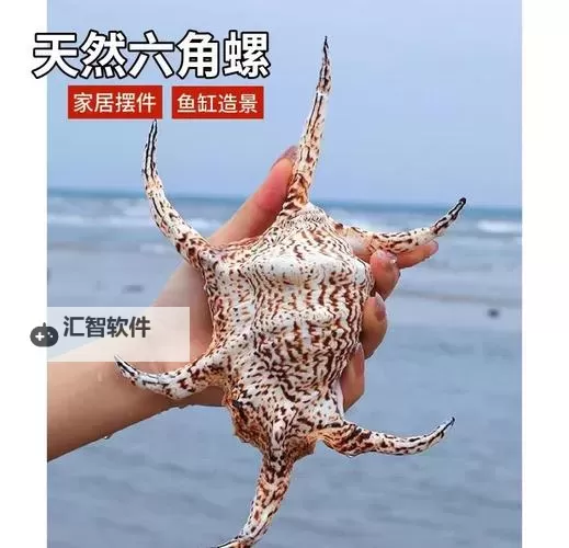 有没有深海宝藏双开软件推荐 深度解答如何双开深海宝藏图1