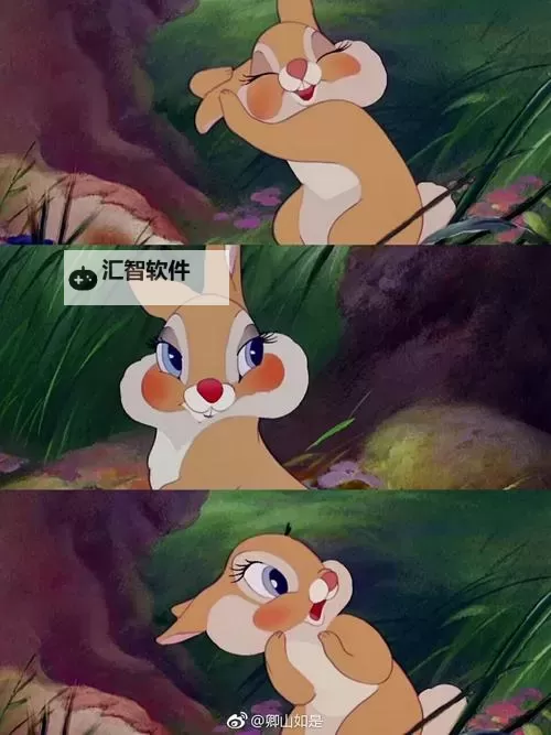 精彩瞬间：抓住云缨的两只大兔子视频播放引爆网络图1