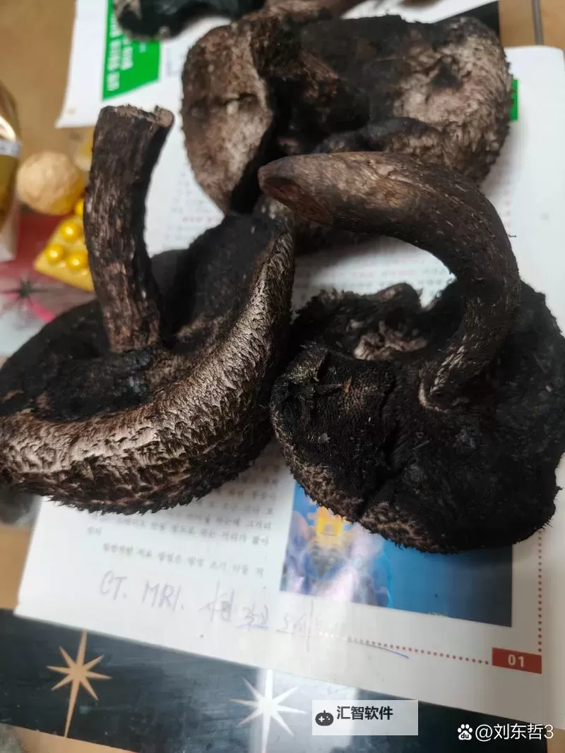 有一根又黑又硬的蘑菇头的秘密冒险图1