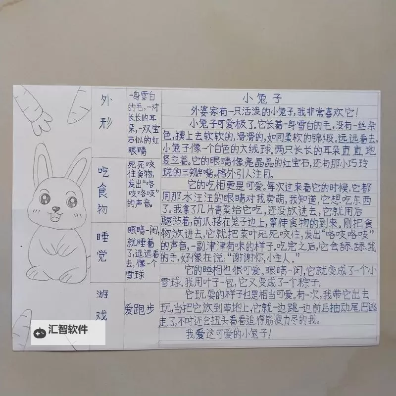 《动物井》全兔子图文收集教程图1