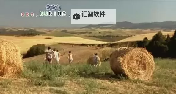 探索精彩视界:悠悠鸟影视带你畅享无限视听盛宴图1