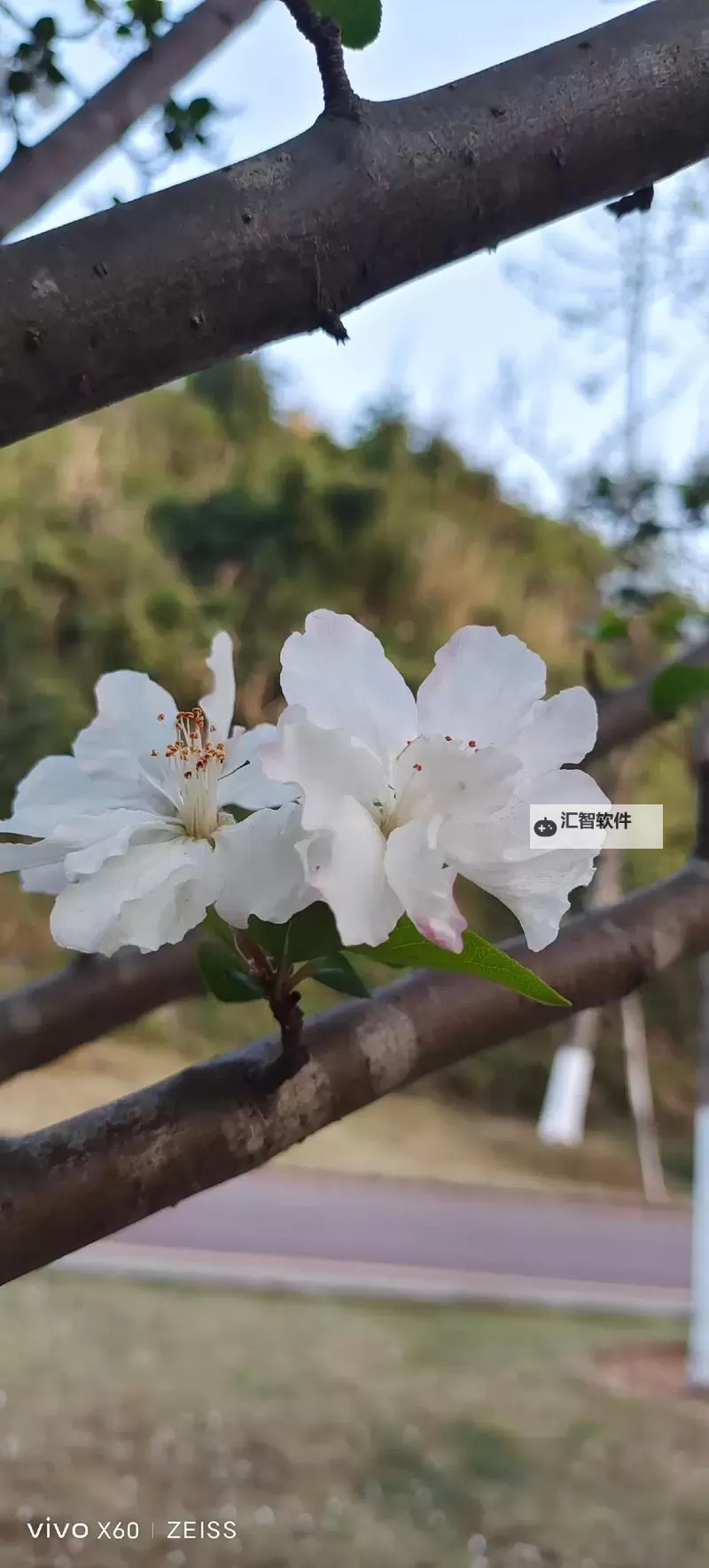 最新中文字幕无码高清资源集锦：全面介绍无码与中文无码影片特点图1