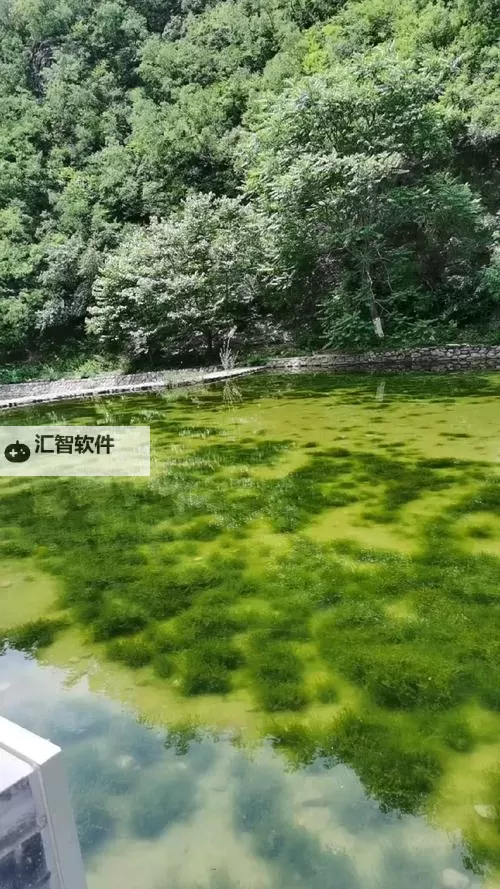 《上古卷轴5》mod合集第11弹 守望先锋、希尔瓦纳斯mod及使用说明图1