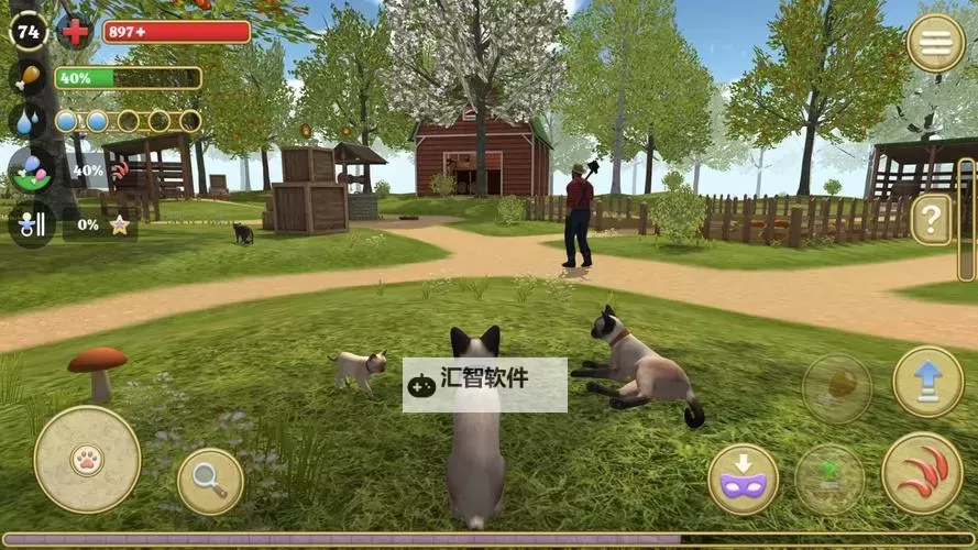 猫咪大陆电脑版 电脑玩猫咪大陆模拟器下载、安装攻略教程图1