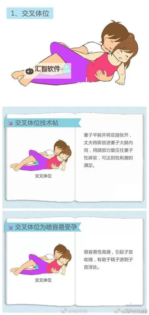 探索全面实用的指南：在床上的72种扦插方法分享图2