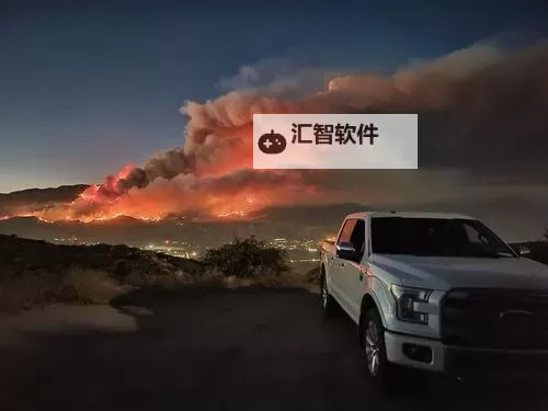 国四虎影2020：年度经典影片全回顾图1