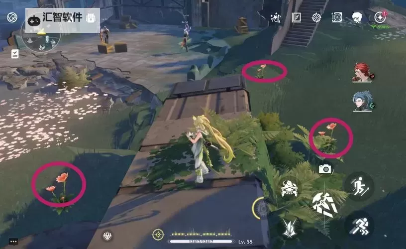 《鸣潮》妙弋花高效采集路线分享图1