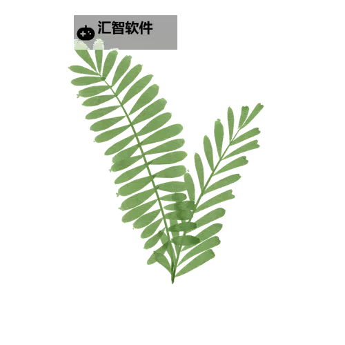 《绽放的萌趣：害羞草漫画中的温馨瞬间》图1