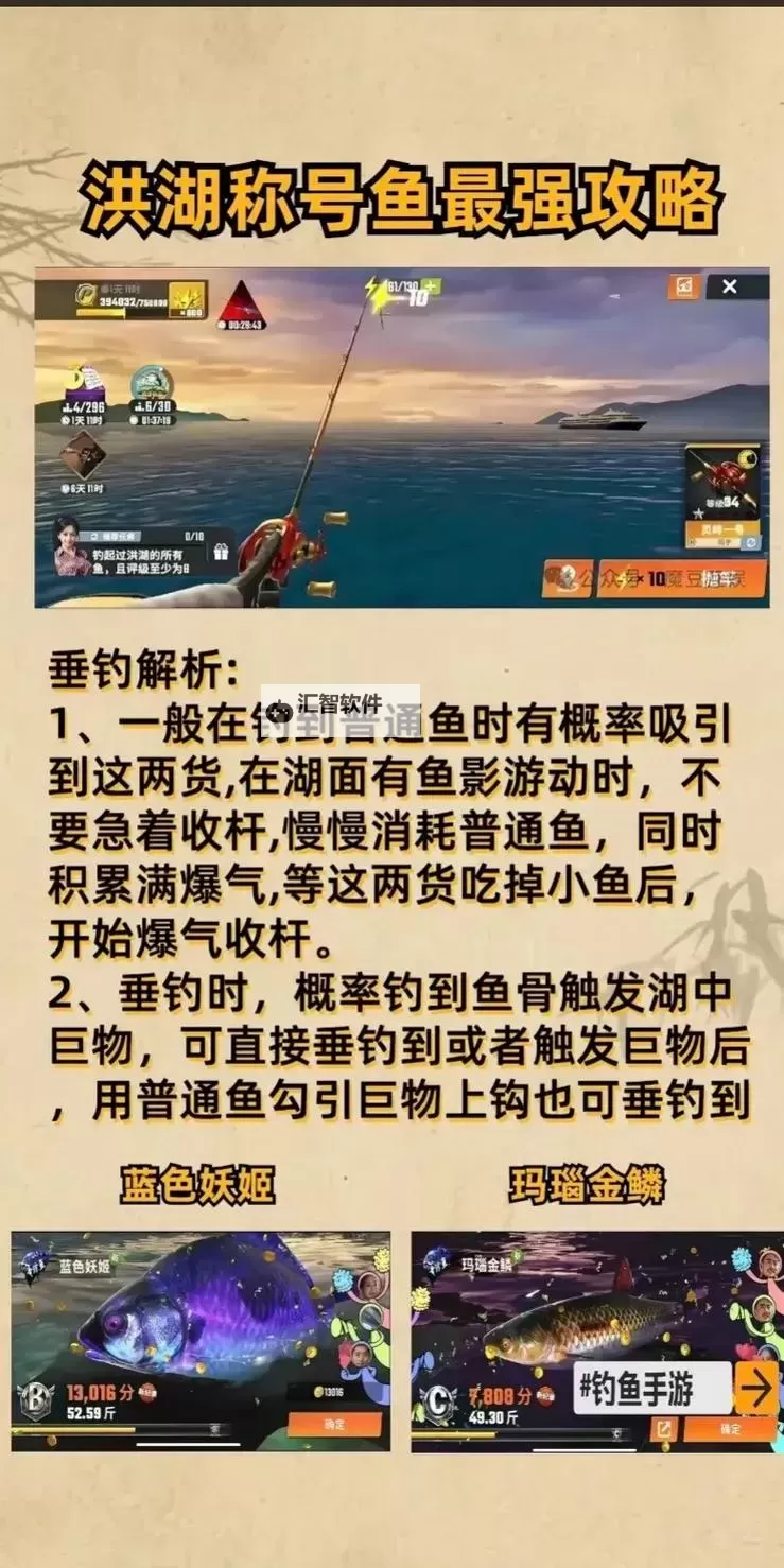 《贝贝捕鱼》鱼种概率公示图1