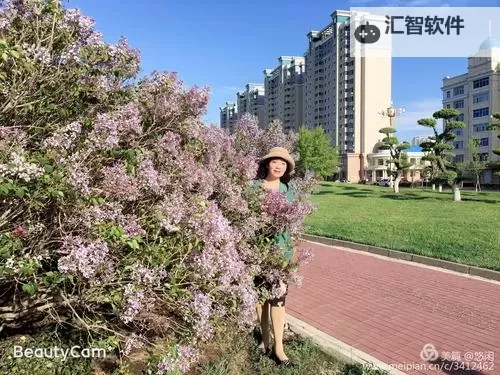 激情绽放：深入解读五月丁香综合六月激情的魅力与魅惑图1