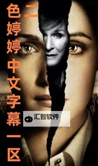 全面解析：中文字幕2区的优势与使用指南图1