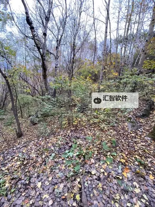 探索最新内容：cn.666成人视频为您带来极致娱乐体验图1