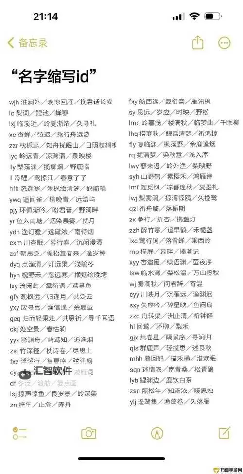 探索便捷途径：永久地域网名入口全面指南图1