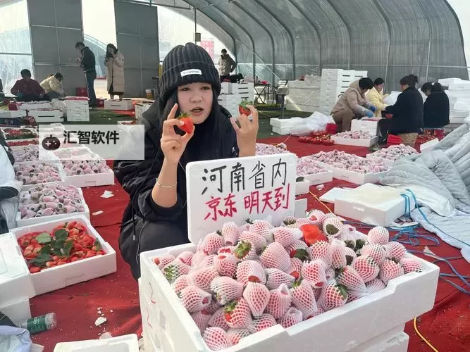 探索新潮体验：草莓黄色直播带你领略独特魅力图1