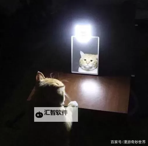 在镜子里看我怎么C哭你的：一段感情的倒影与反思图1