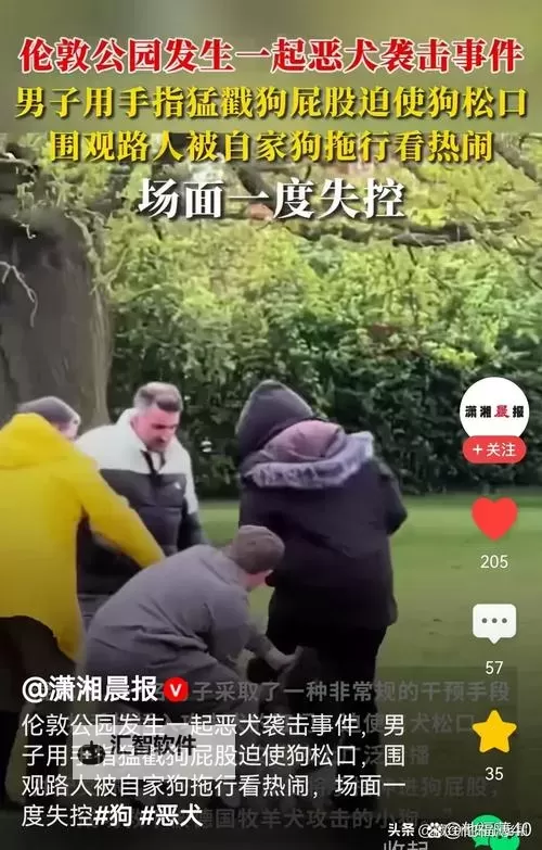 走一步故意深深地撞咬合:行为背后的心理解读图1