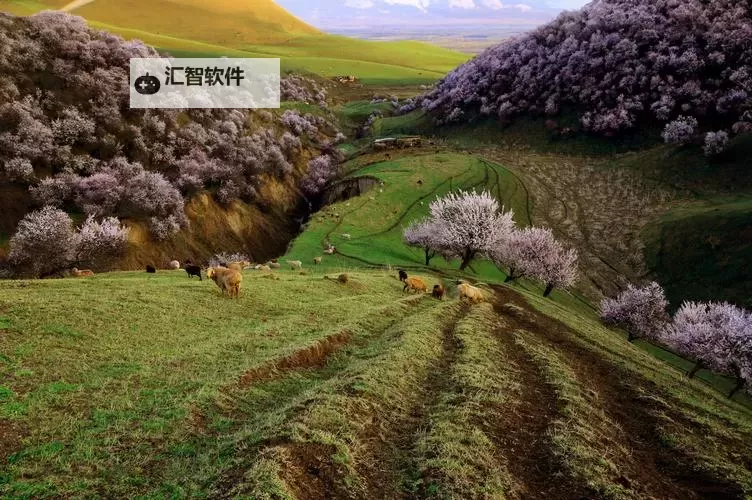 《勇者斗恶龙11》武器大全 勇者斗恶龙11全武器攻击力介绍图1