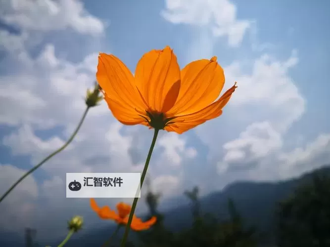 《小鱼传奇》赤凤洞隐藏图开启方式图1