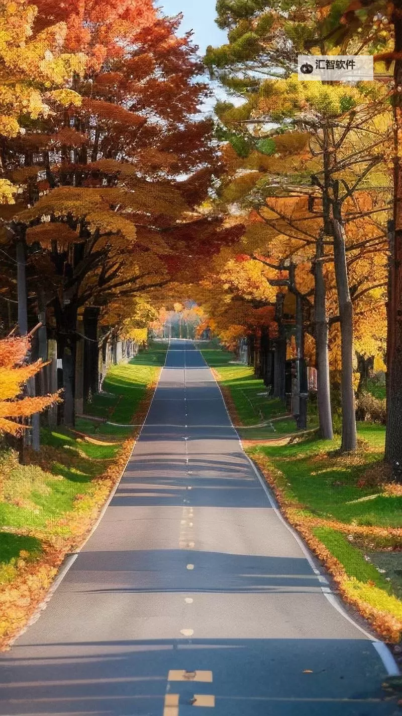 《勇者斗恶龙英雄2》小金币获得方法及兑换道具一览 小金币怎么获得图1