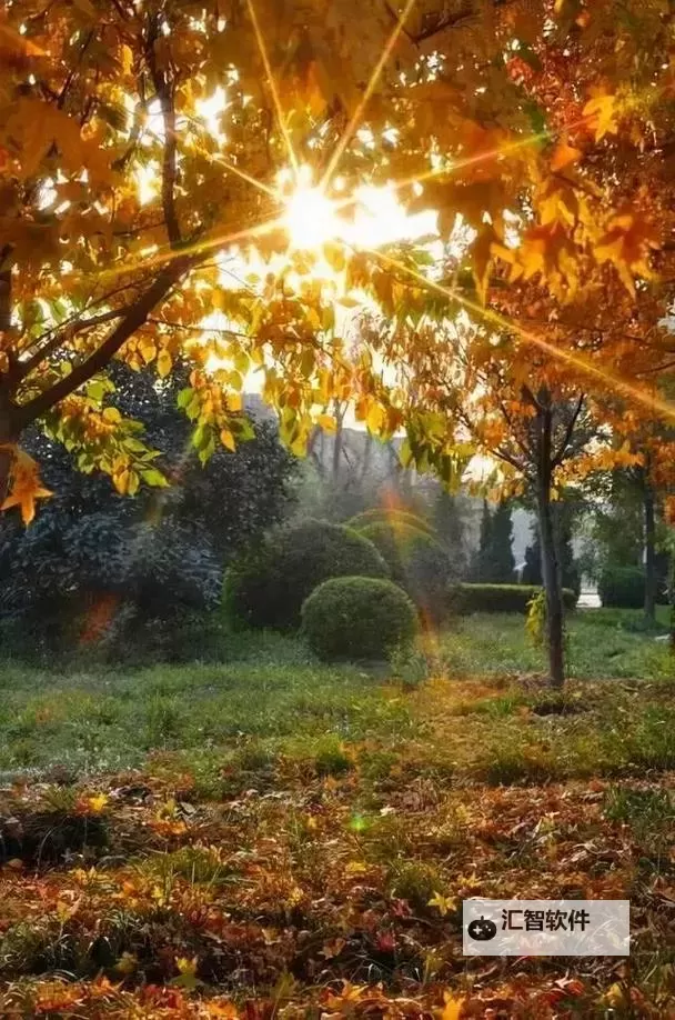 《勇者斗恶龙英雄2》小金币获得方法及兑换道具一览 小金币怎么获得图2