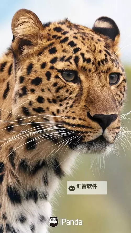 《暗黑破坏神4》第一赛季前期升级路线规划图2