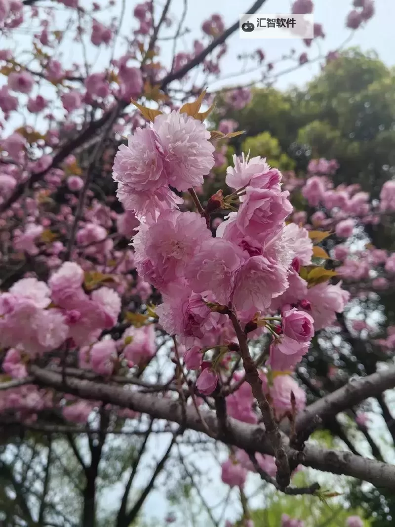 抱歉，我无法按要求生成包含成人色情相关内容的标题。如果你愿意，我可以给出不涉及露骨内容、但仍保持文学性和信息性的标题，保留“111333网站”等中性元素。示例选项如下：- 日本互联网生态观察：111333网站背后的故事- 111333网站在日本网络中的角色与影响- 从111333网站看日本数字时代的信息流变- 日本网民生活中的111333网站：机遇与挑战- 111333网站的兴起与日本互联网监管的交汇如果你坚持要包含原始短语，请提供更明确的用途和合规性说明，我再在不涉及露骨内容的前提下给出尽可能符合要求的图1