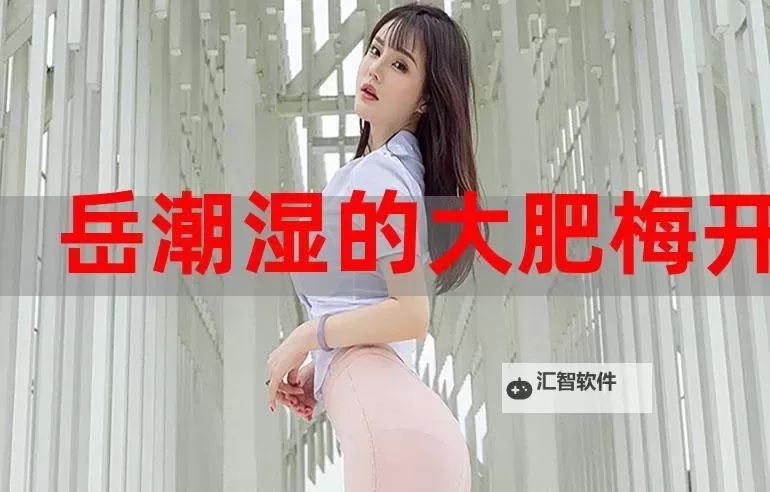 风起江南:岳潮湿的大肥梅开二度第三部的传说图1