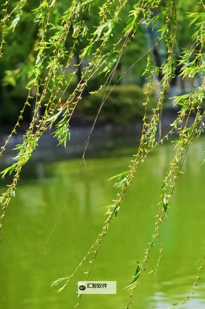 《毁灭战士黑暗时代》第一章全秘密收集攻略图1