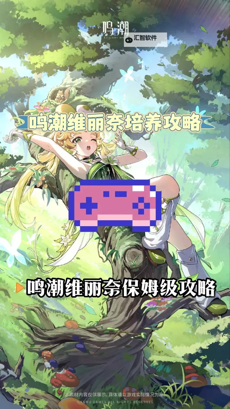 《鸣潮》维里奈养成一图流 维里奈怎么培养图1