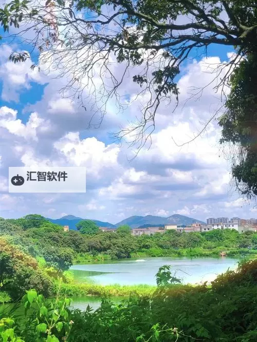 有染1V2LH出:禁忌之城的夜色恋曲图1